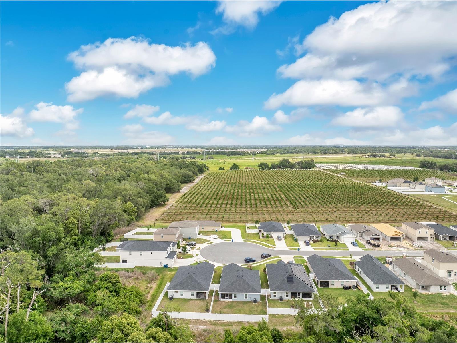 2096 Golden Beak Drive Eagle Lake FL 33839 TB8501339 image39