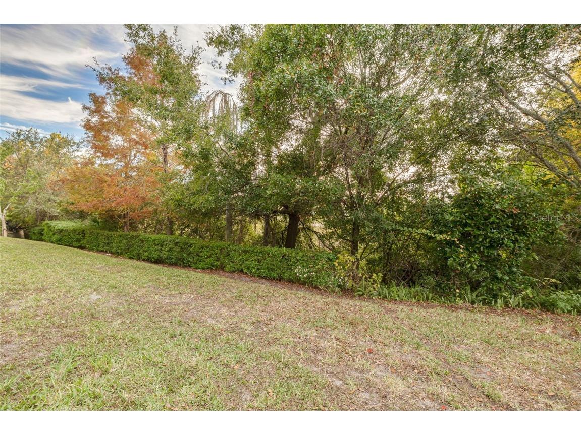 2096 Sun Down Drive Clearwater FL 33763 TB8451879 image22