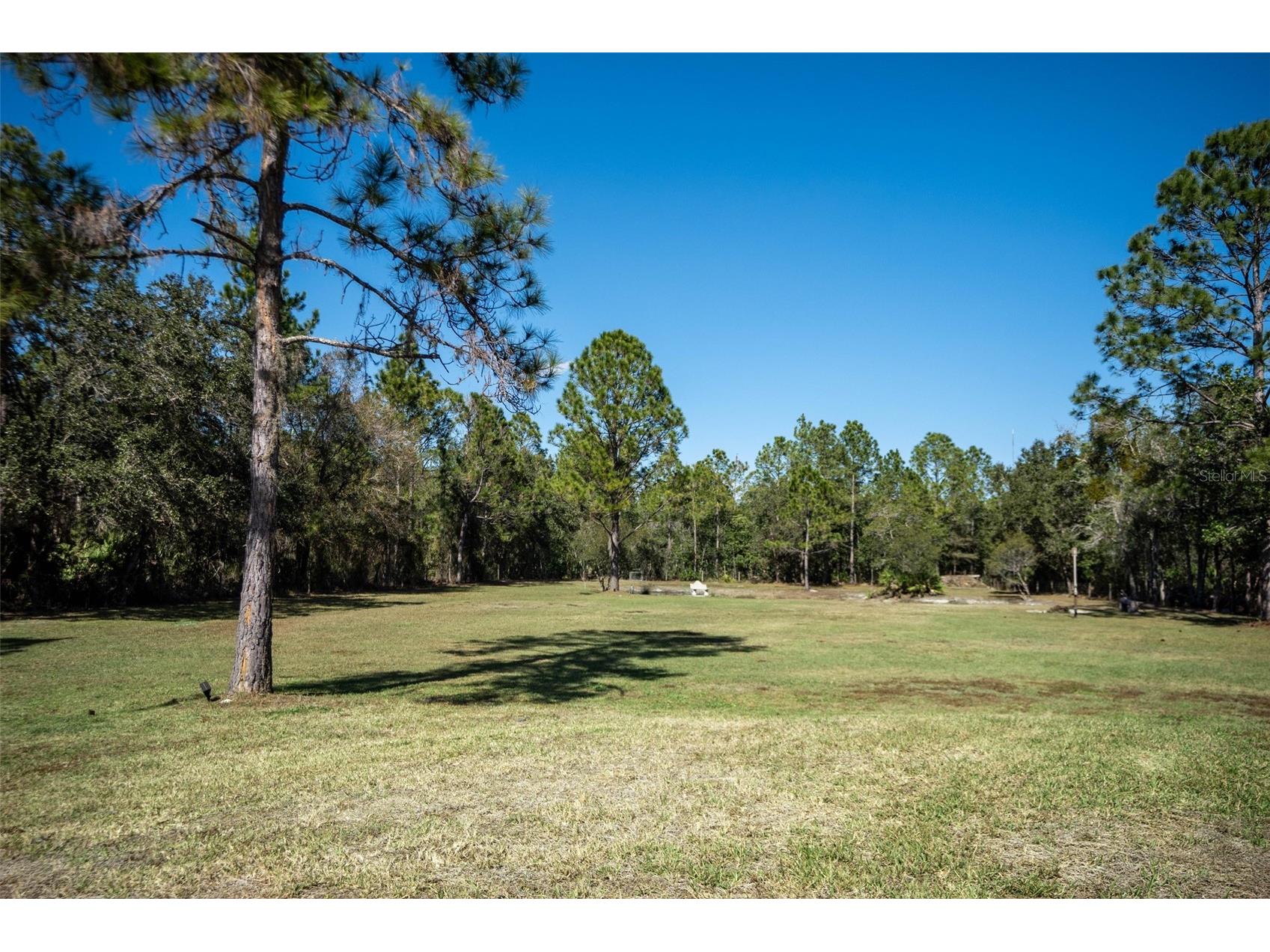 20963 E Colonial Drive Christmas FL 32709 O6406174 image41