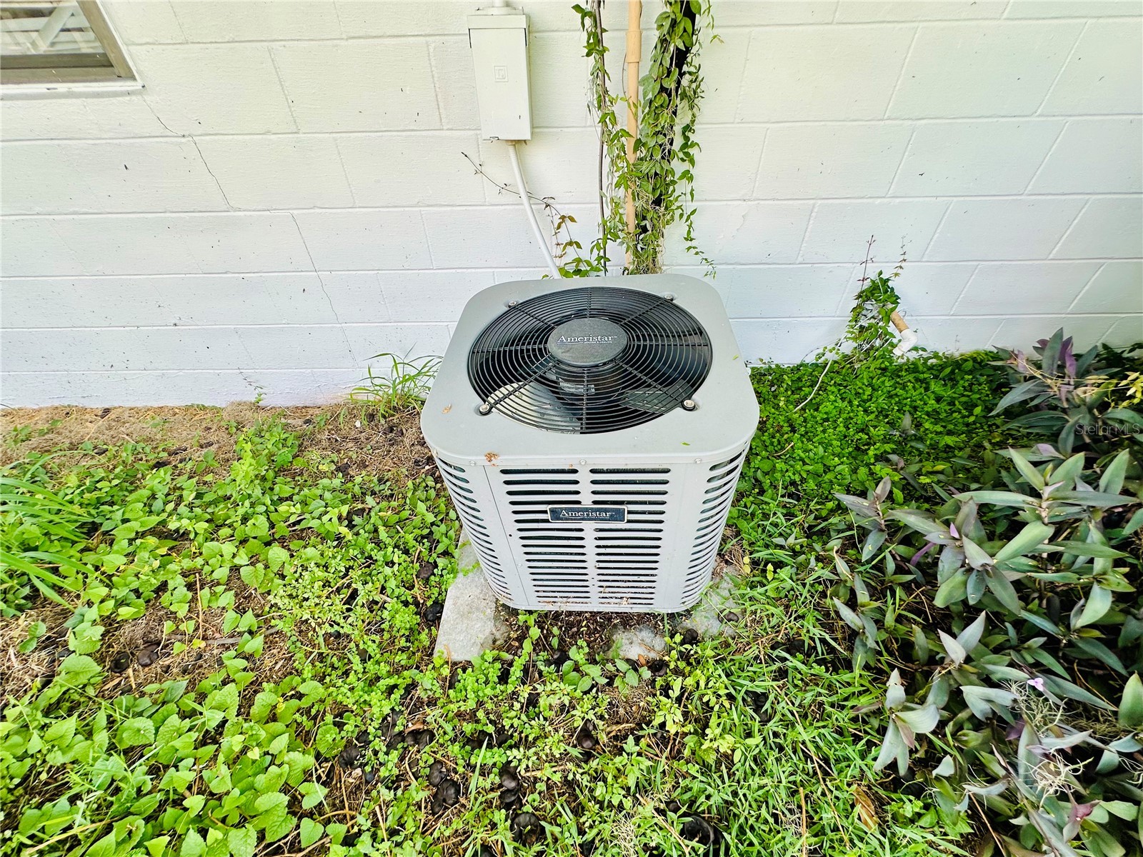 2097 Avenue H NW Winter Haven FL 33881 L4962122 image13