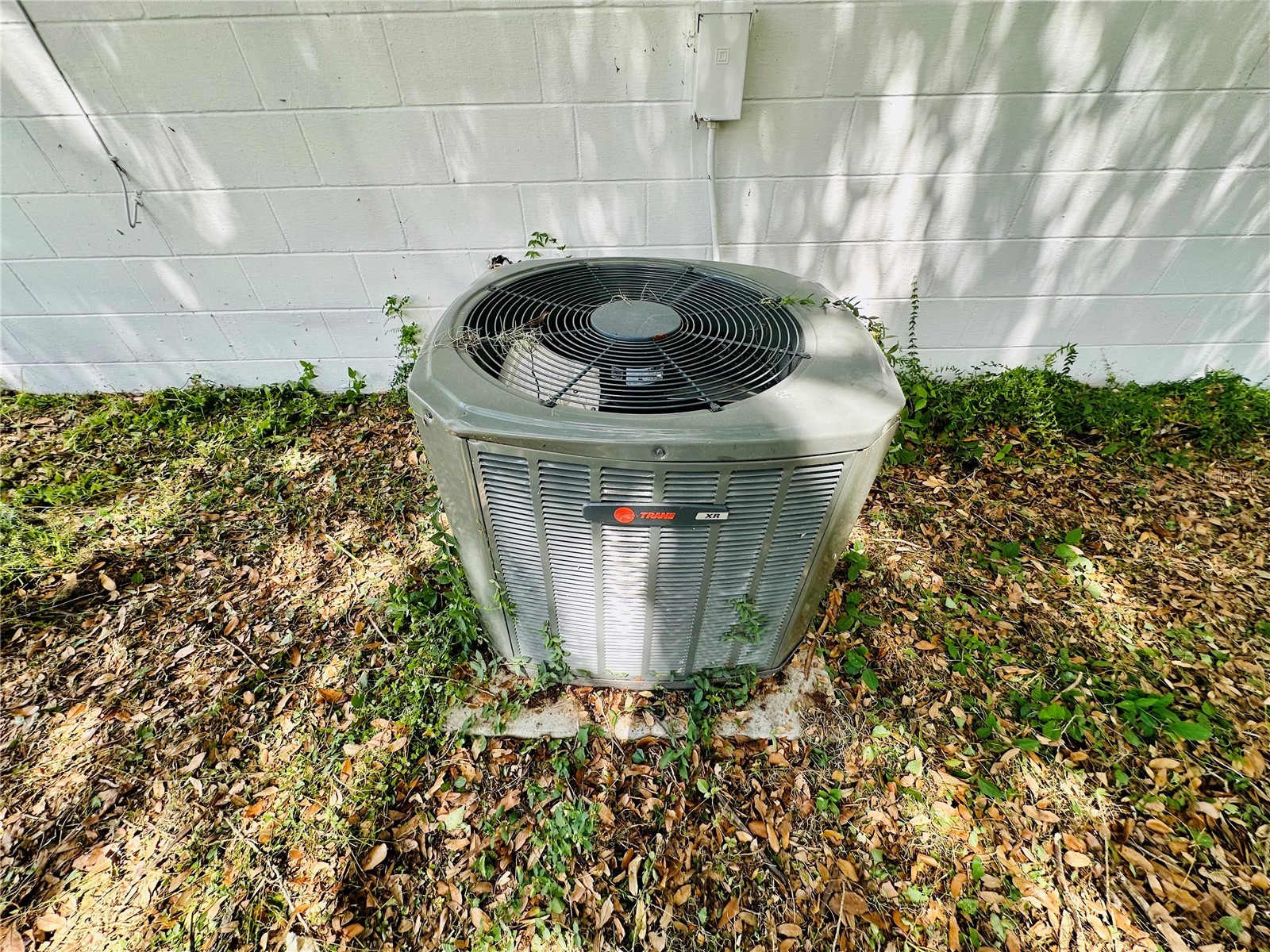 2097 Avenue H NW Winter Haven FL 33881 L4962122 image14