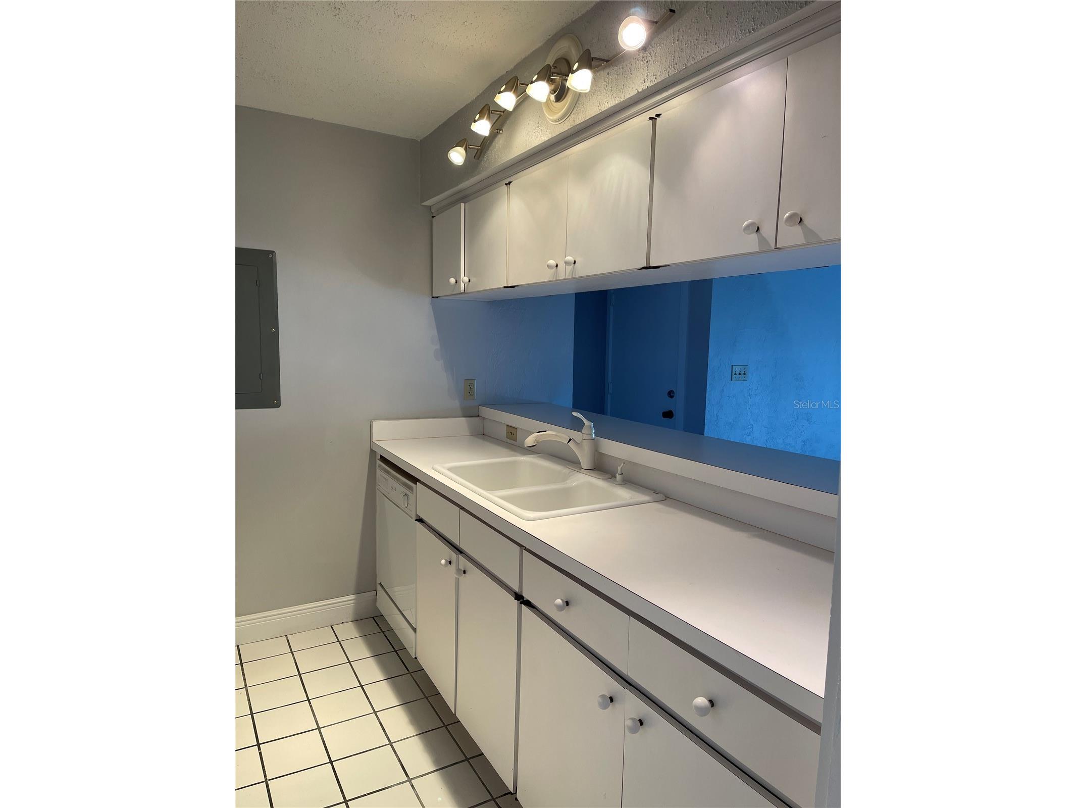 2097 Corner Lake Drive #2097 Haines City FL 33844 O6392306 image3