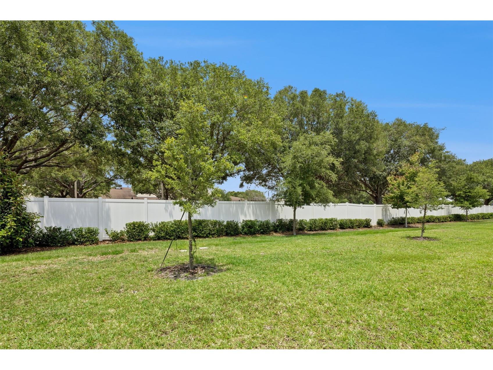 2097 Crape Jasmine Lane Orlando FL 32824 O6406842 image29