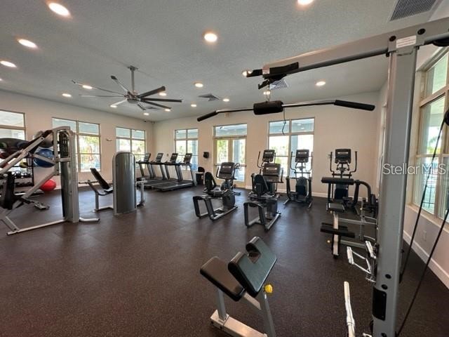 2097 King Ranch Street Kissimmee FL 34744 S5151615 image15