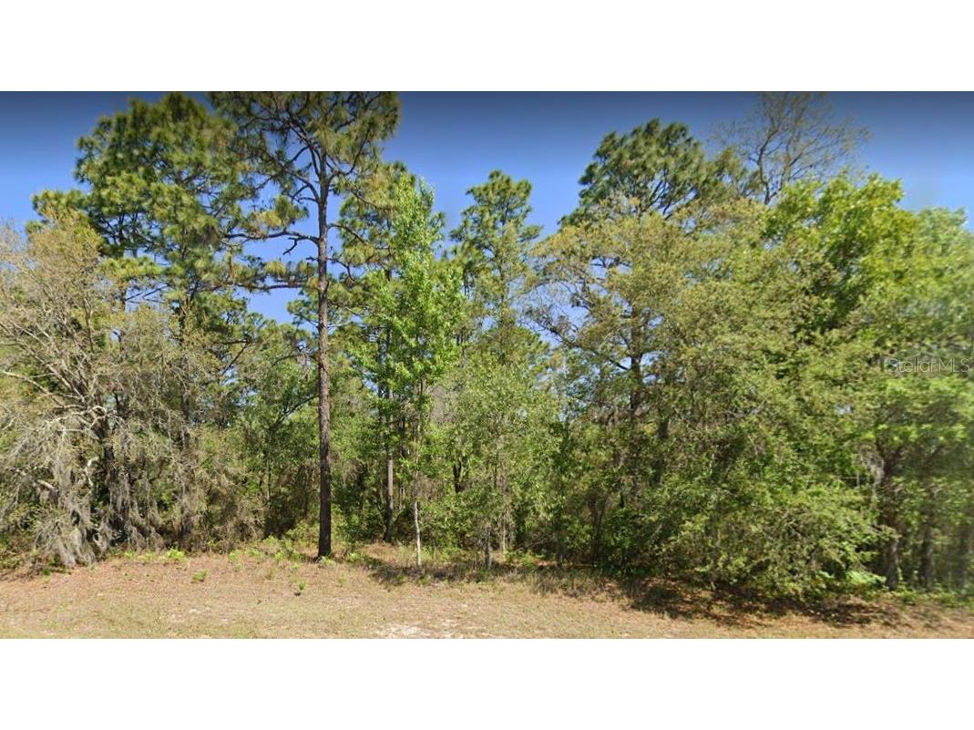 2097 W Hampshire Boulevard Citrus Springs FL 34434 O6079419 image1