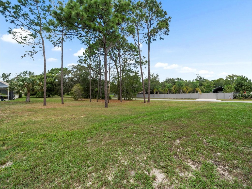 2097 Whitewood Avenue Spring Hill FL 34609 TB8432370 image41