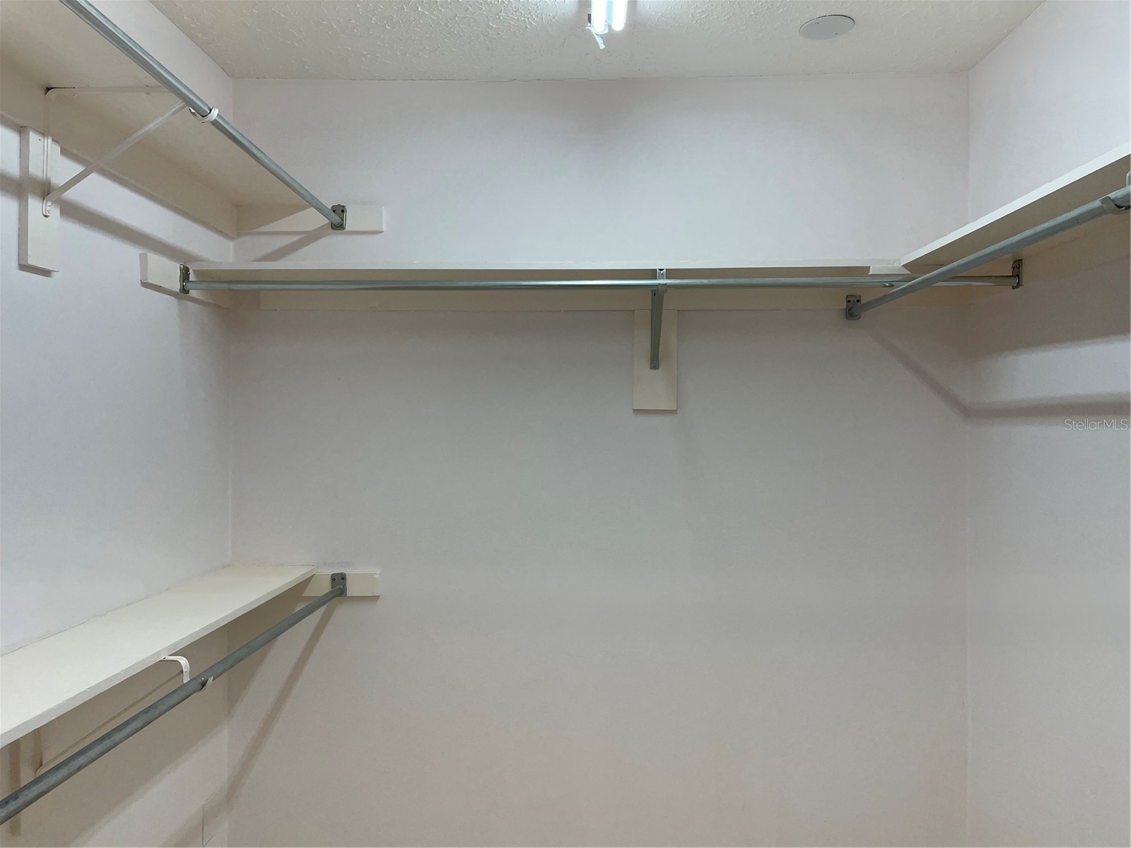 20971 Negril Court Lutz FL 33558 W7876711 image24