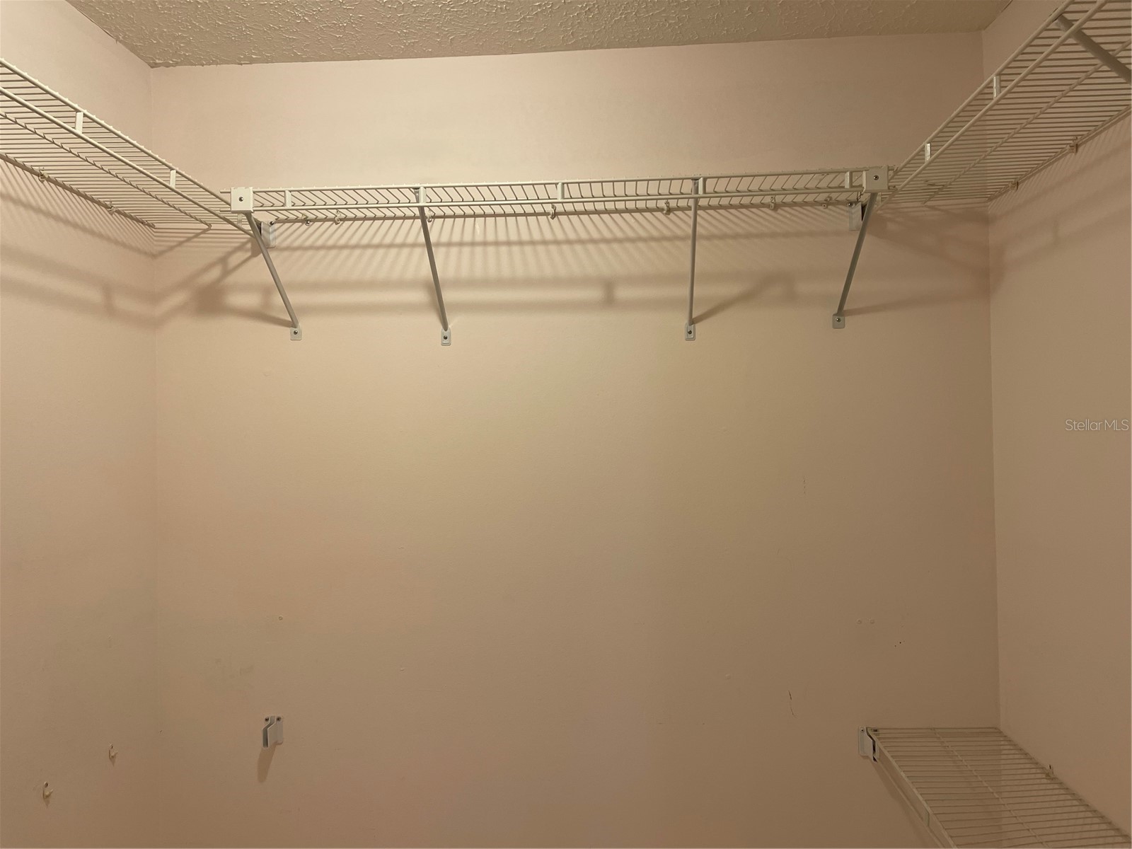 20971 Negril Court Lutz FL 33558 W7876711 image27