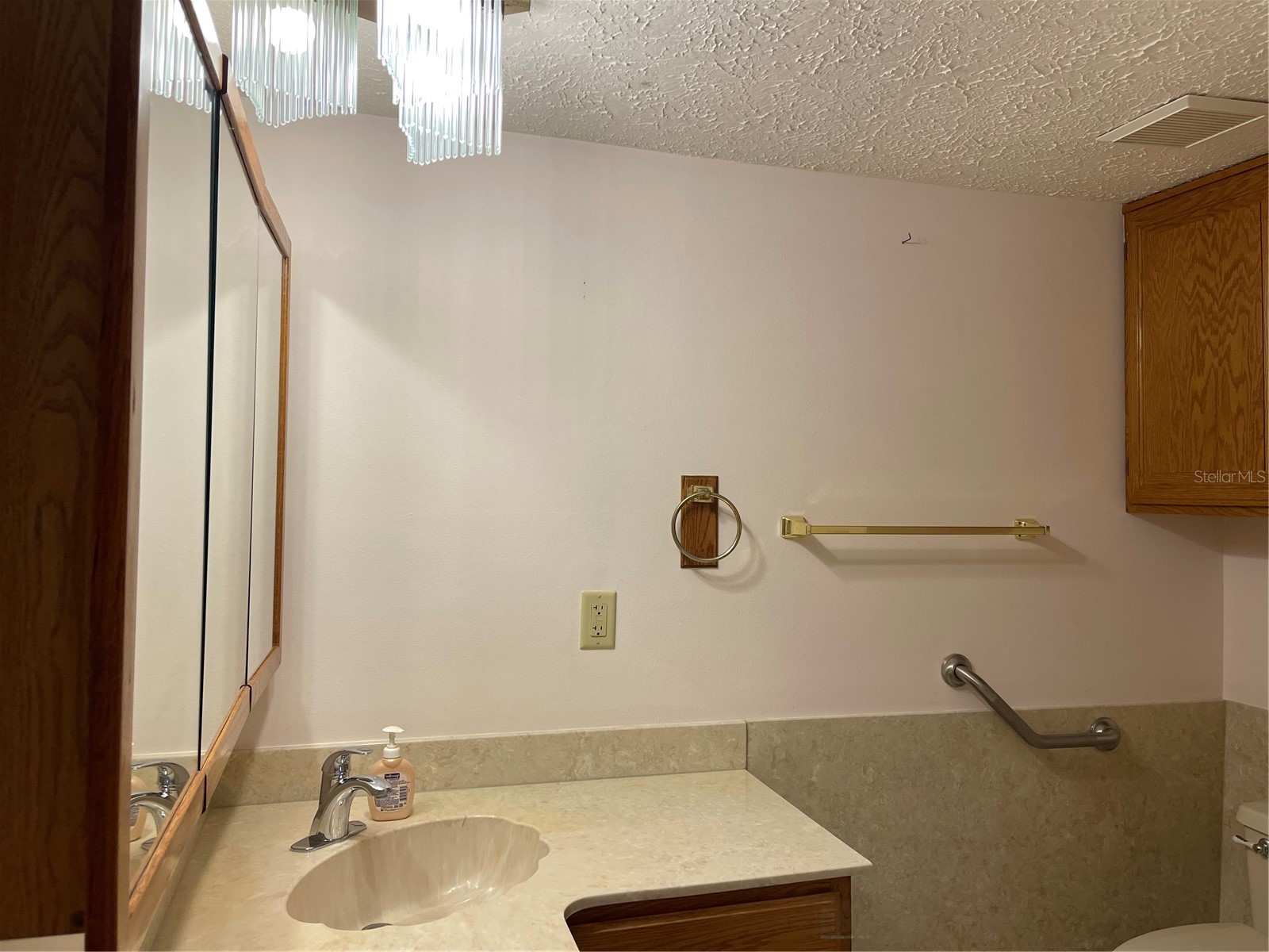 20971 Negril Court Lutz FL 33558 W7876711 image36