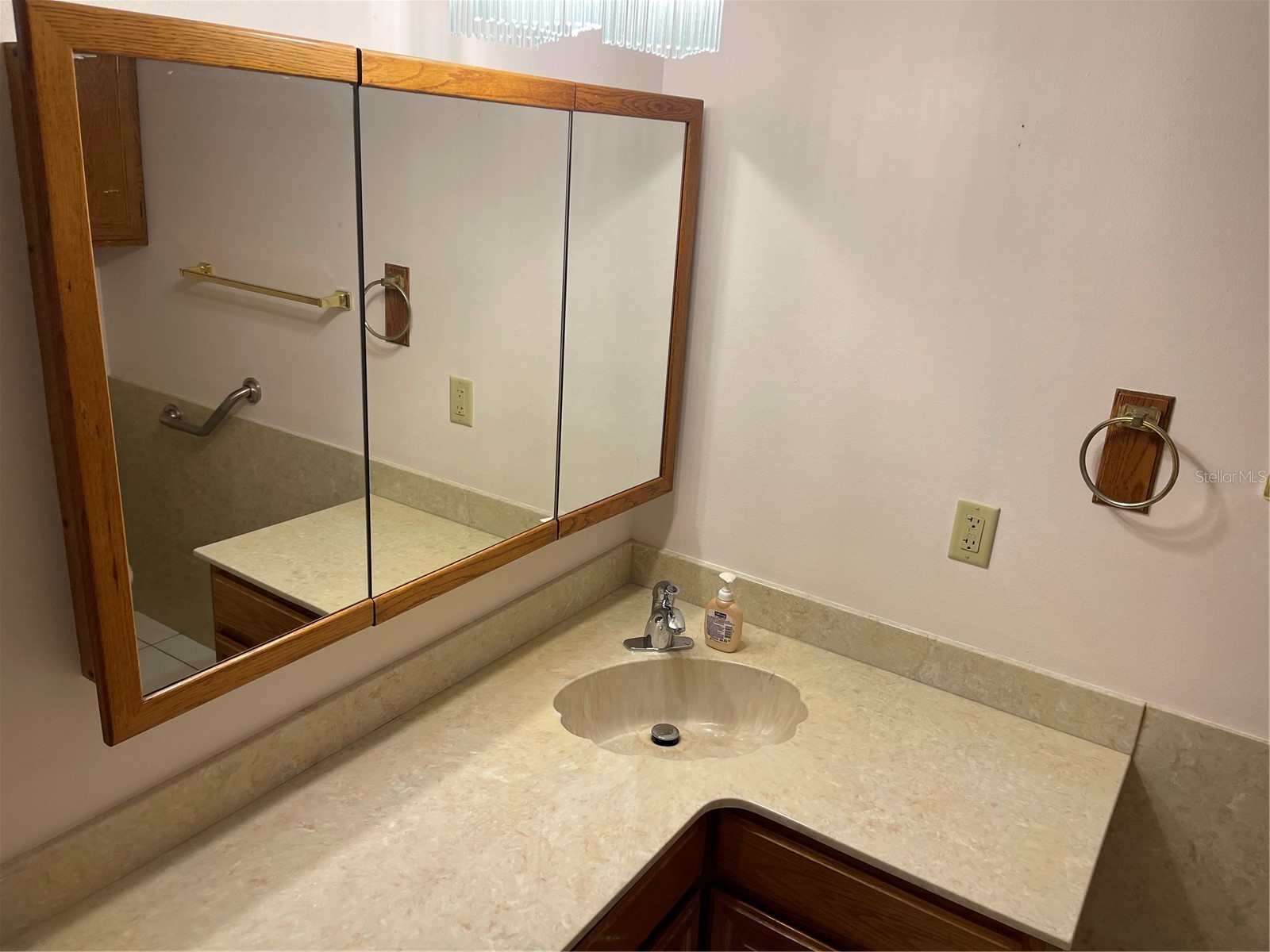 20971 Negril Court Lutz FL 33558 W7876711 image38