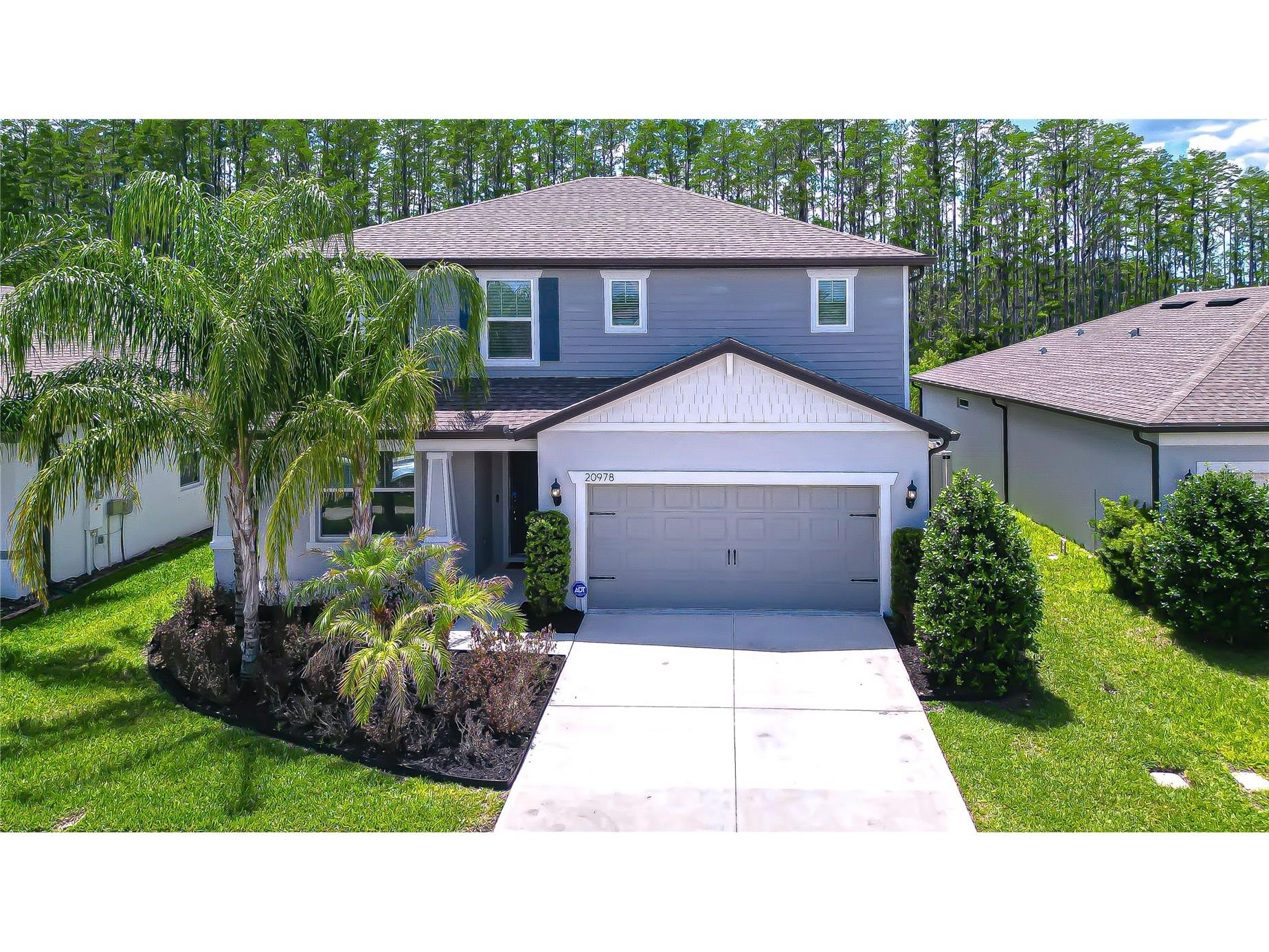20978 Monza Loop Land O Lakes FL 34638 TB8500994 image1