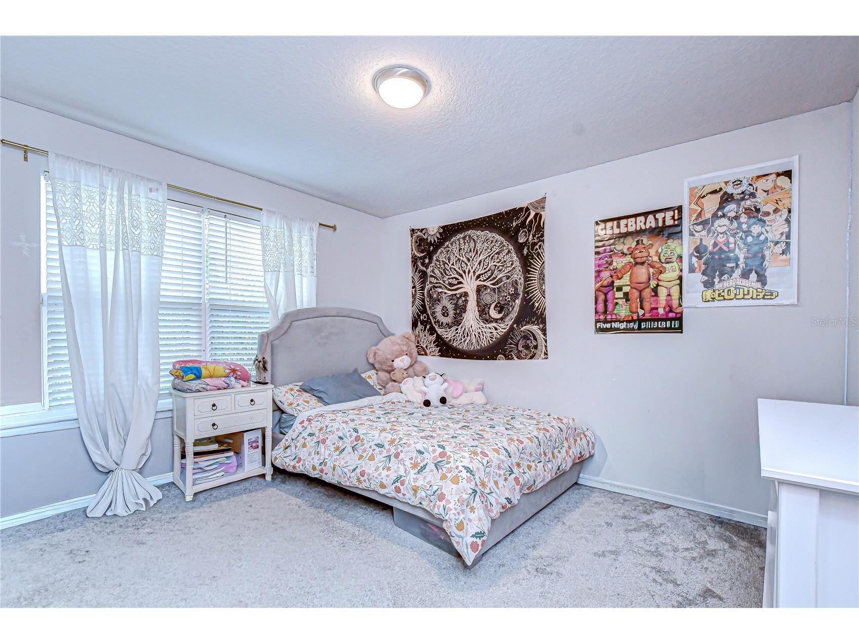 20978 Monza Loop Land O Lakes FL 34638 TB8500994 image30