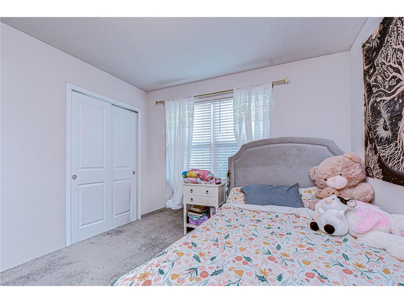 20978 Monza Loop Land O Lakes FL 34638 TB8500994 image31