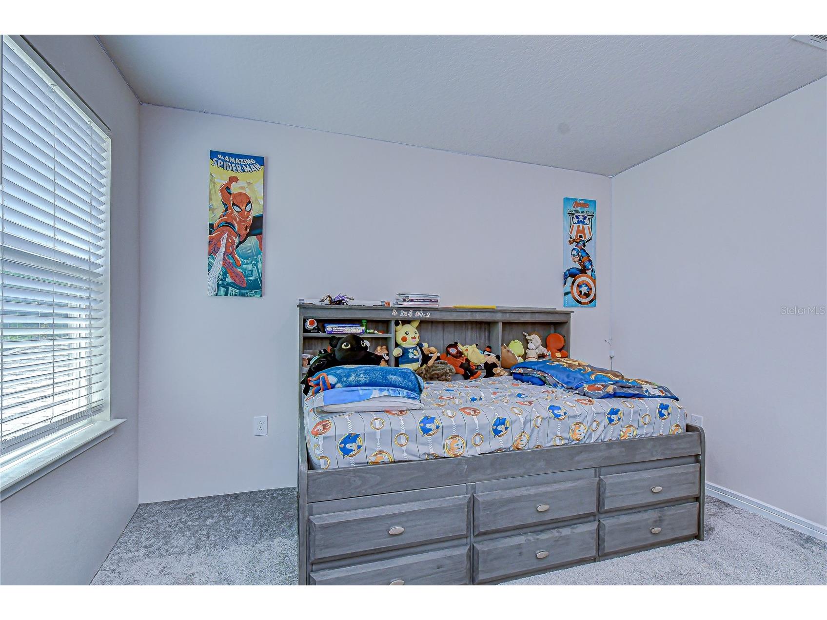 20978 Monza Loop Land O Lakes FL 34638 TB8500994 image35