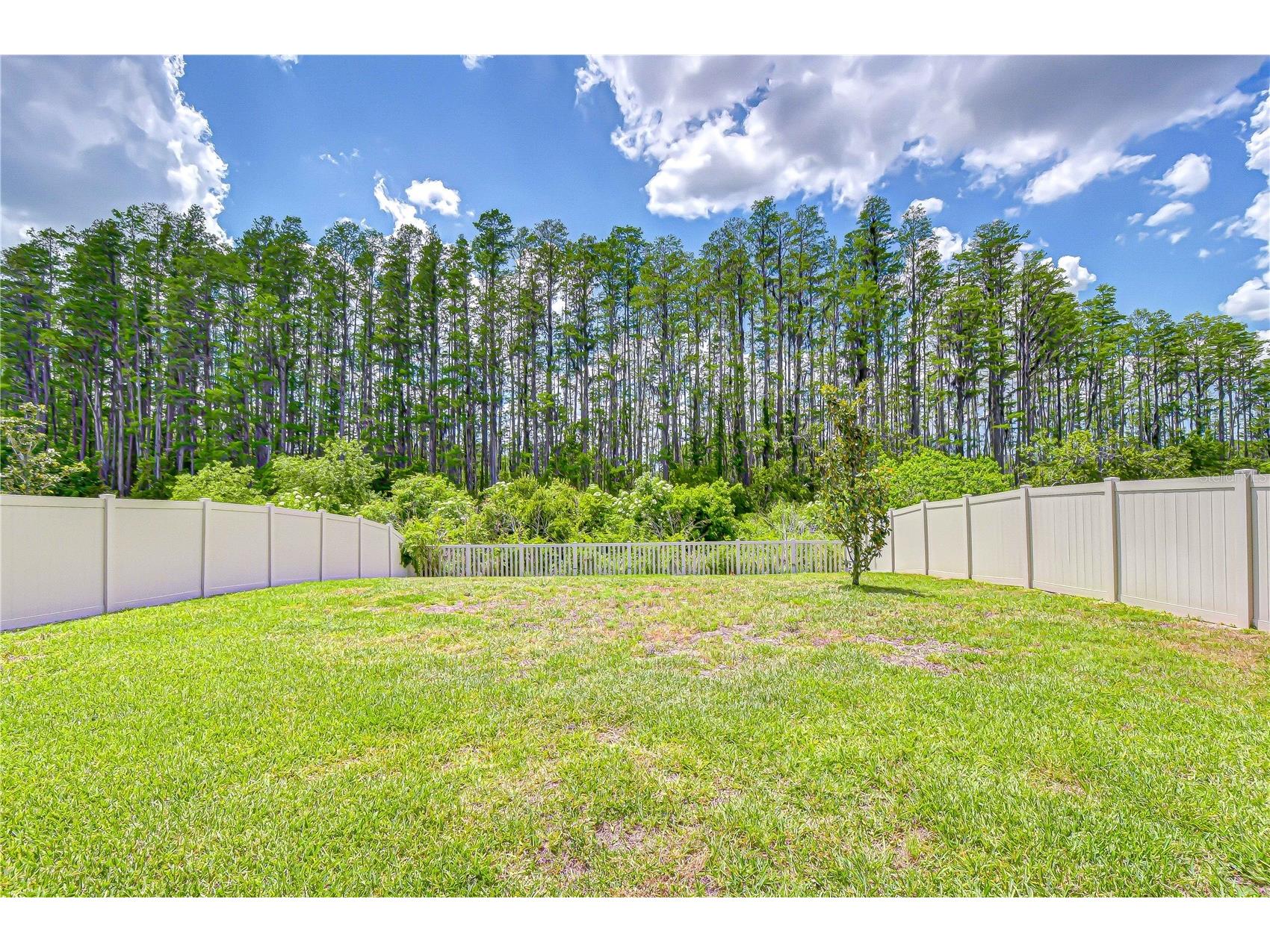 20978 Monza Loop Land O Lakes FL 34638 TB8500994 image43