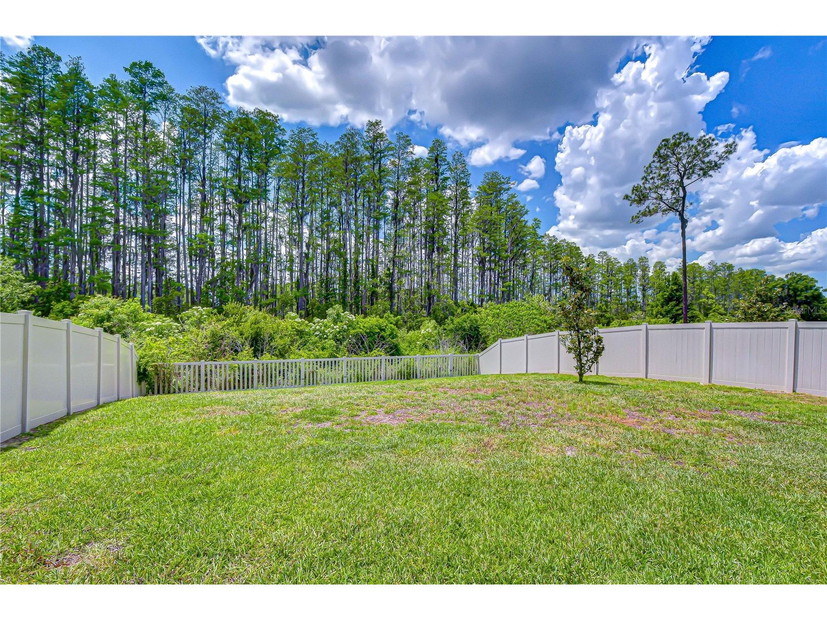 20978 Monza Loop Land O Lakes FL 34638 TB8500994 image44