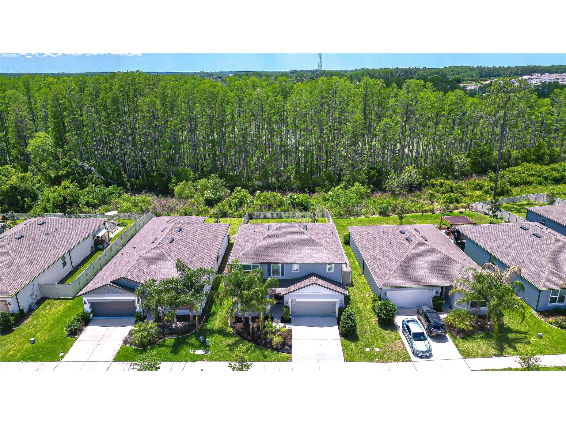 20978 Monza Loop Land O Lakes FL 34638 TB8500994 image49