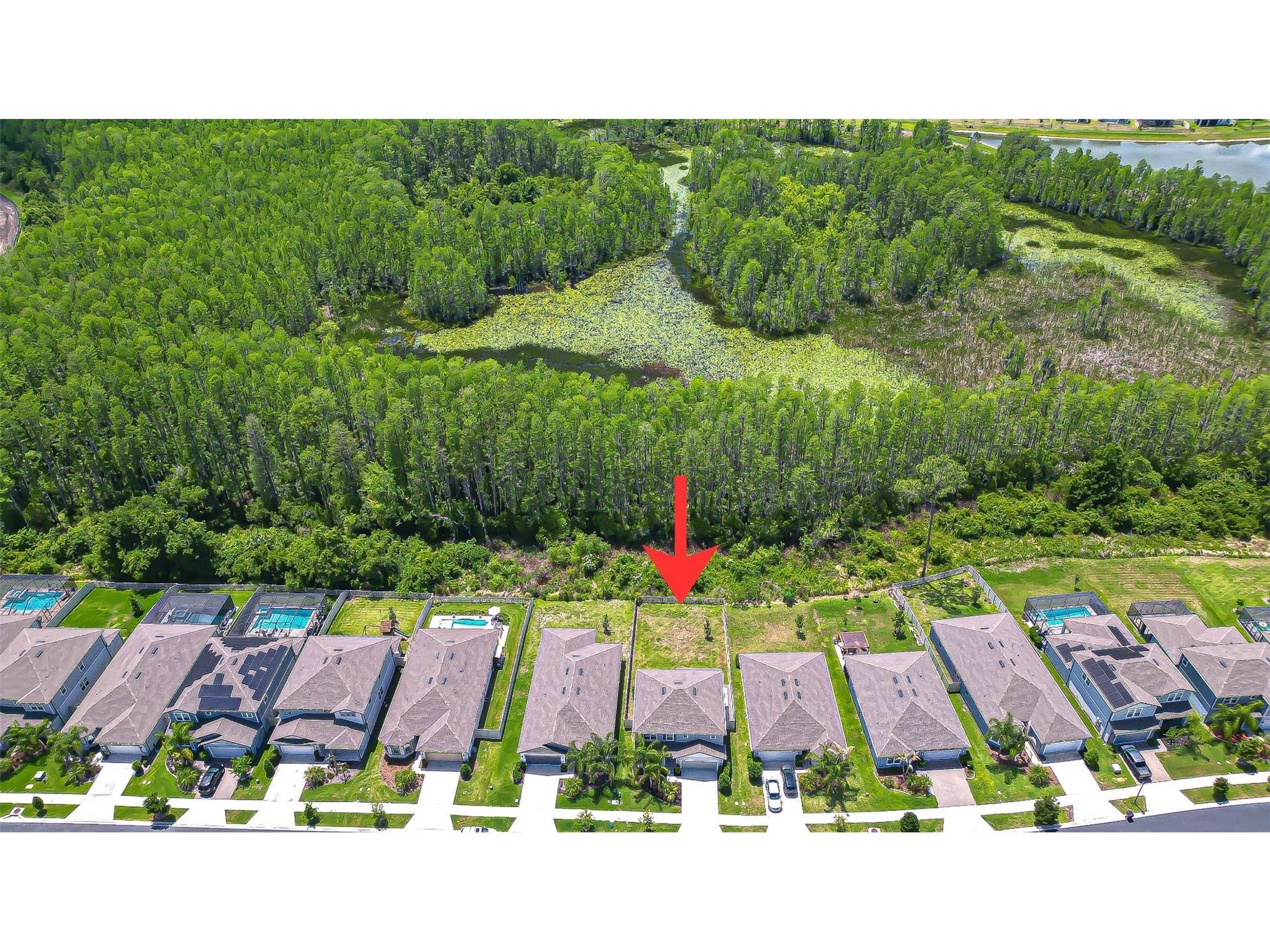 20978 Monza Loop Land O Lakes FL 34638 TB8500994 image50