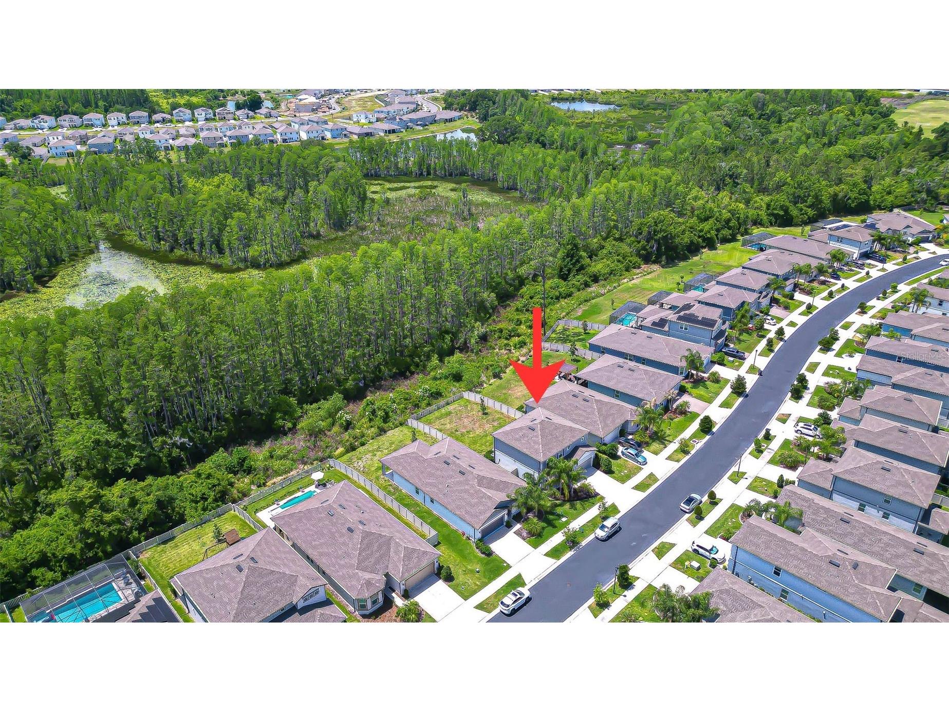 20978 Monza Loop Land O Lakes FL 34638 TB8500994 image51
