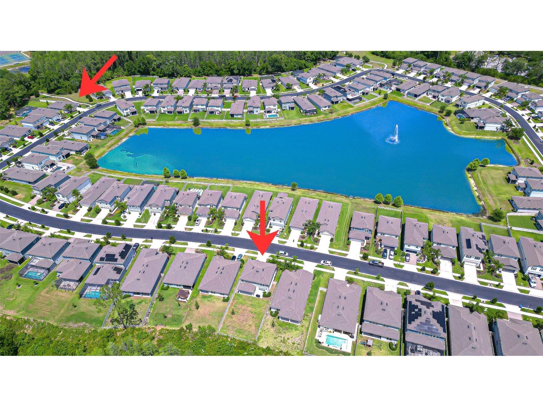 20978 Monza Loop Land O Lakes FL 34638 TB8500994 image52