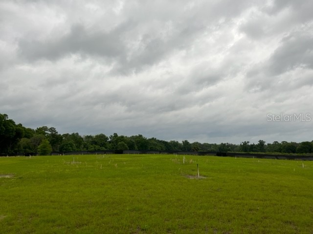 2098 Holly Hammock Road De Leon Springs FL 32130 T3368277 image1