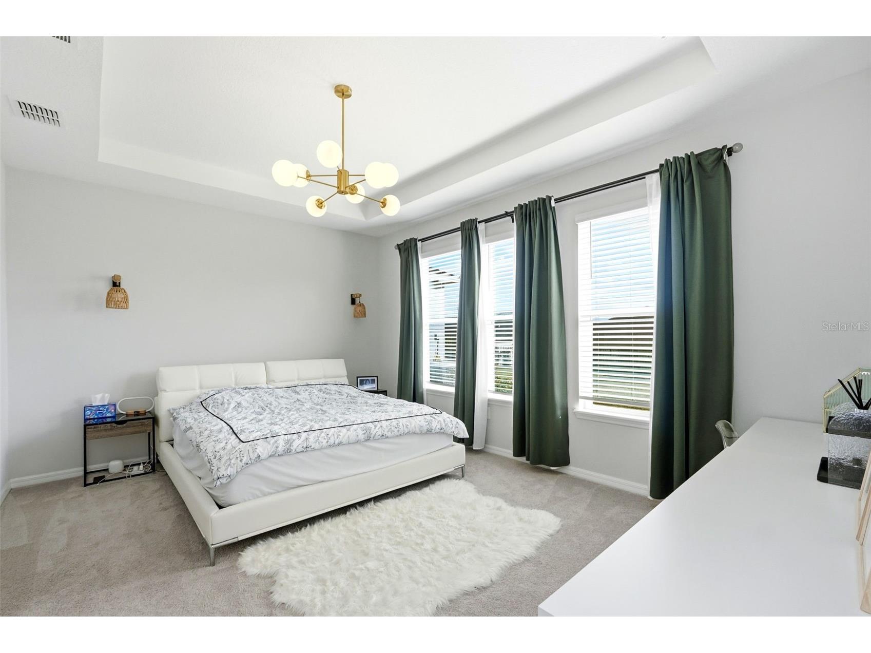 2099 Old Hollow Lane Clermont FL 34715 O6371533 image22