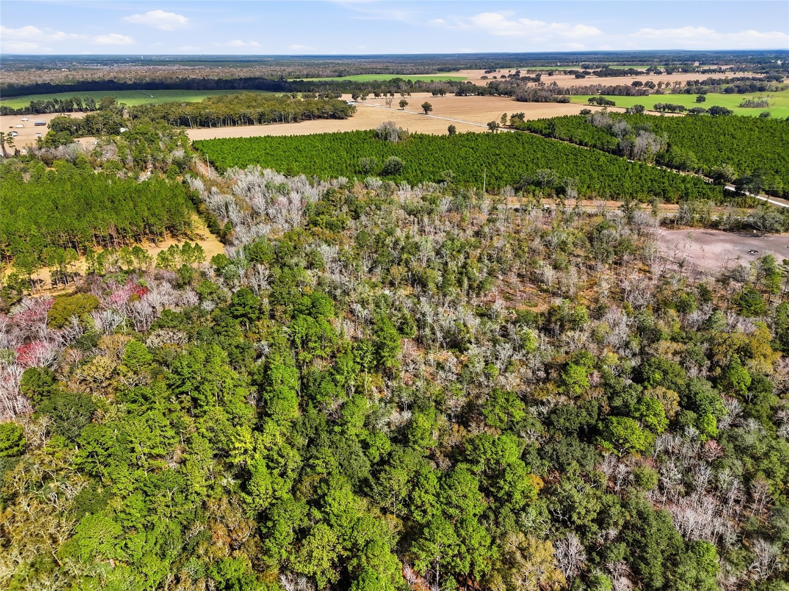 20994 SW County Road 18 #LOT 2 Brooker FL 32622 GC538485 image12