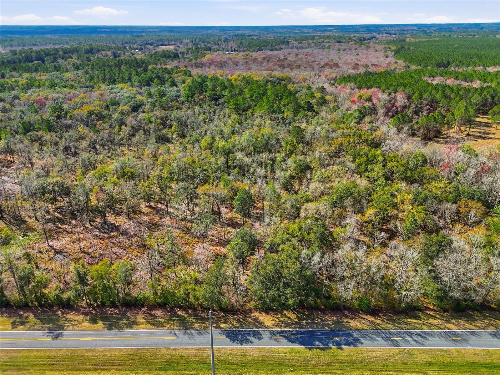 20994 SW County Road 18 #LOT 3 Brooker FL 32622 GC538486 image10