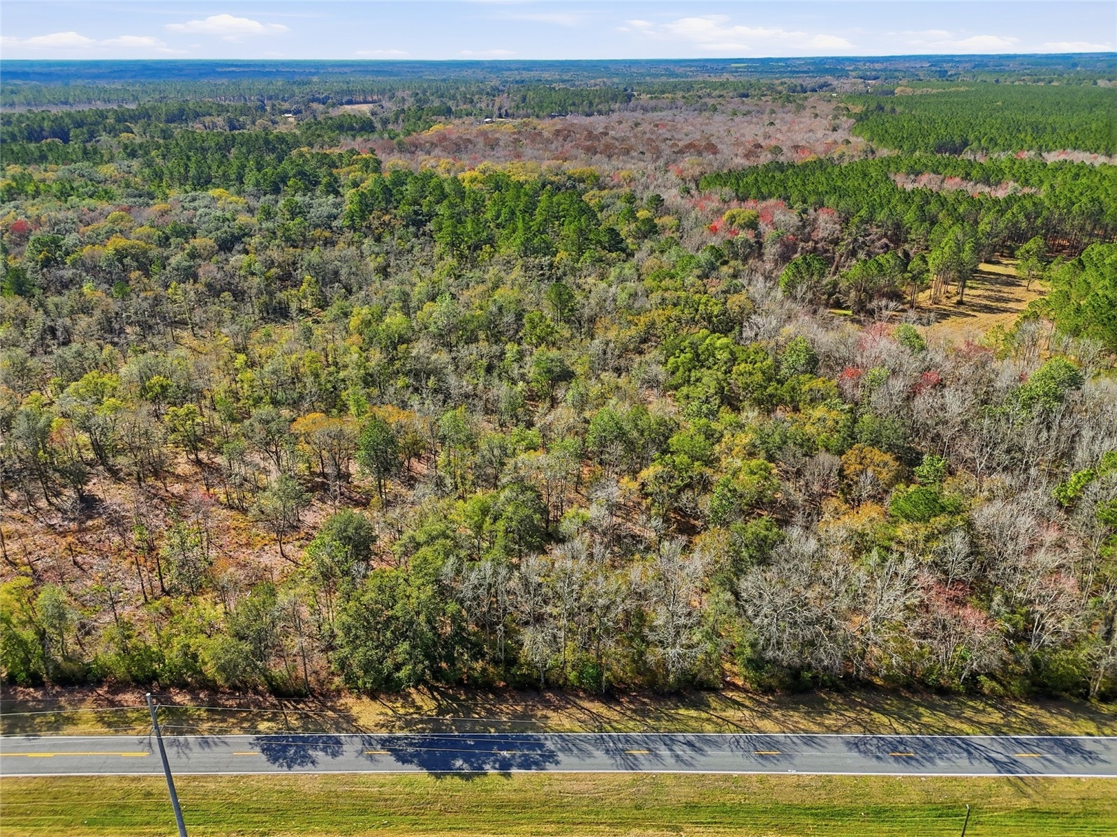 20994 SW County Road 18 #LOT 3 Brooker FL 32622 GC538486 image11