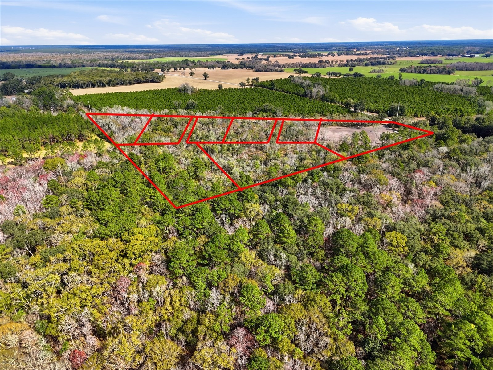 20994 SW County Road 18 #LOT 3 Brooker FL 32622 GC538486 image5