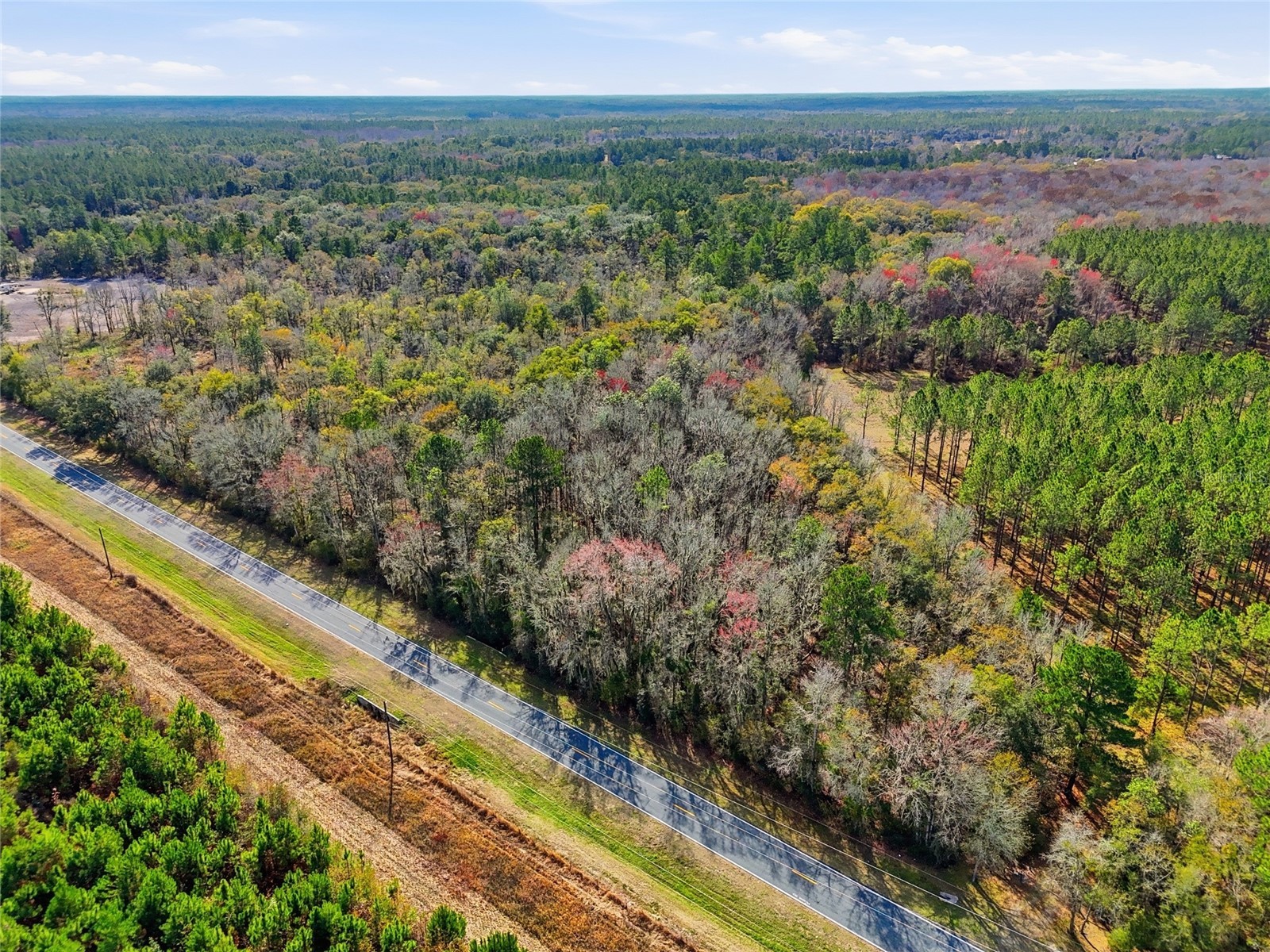 20994 SW County Road 18 #LOT 3 Brooker FL 32622 GC538486 image6