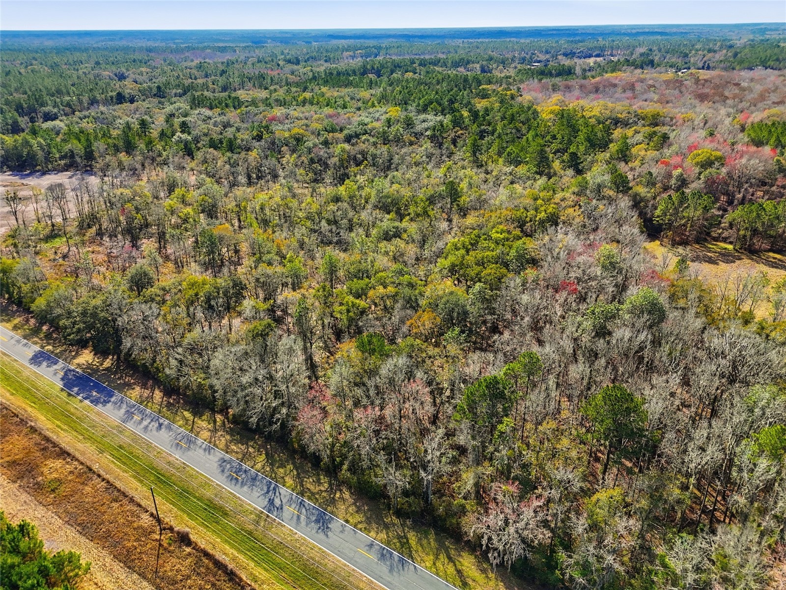 20994 SW County Road 18 #LOT 3 Brooker FL 32622 GC538486 image7