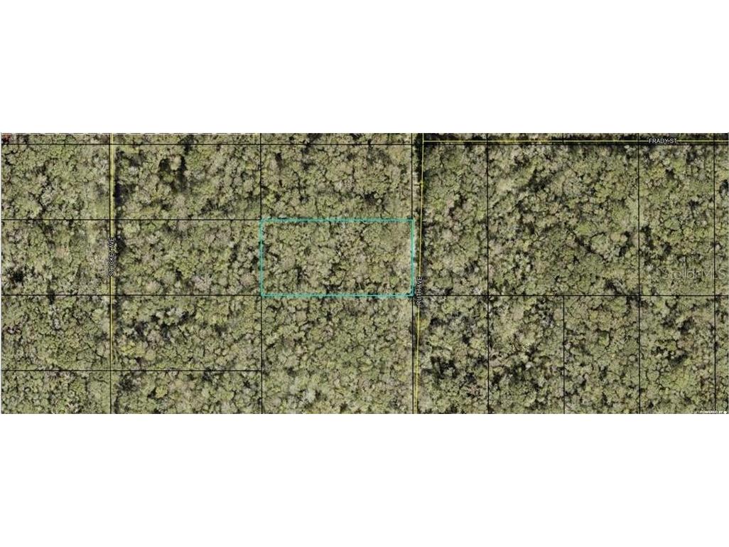 21-10-28-2775-00050-0177 Ruth Avenue Hastings FL 32145 A4666081 image1