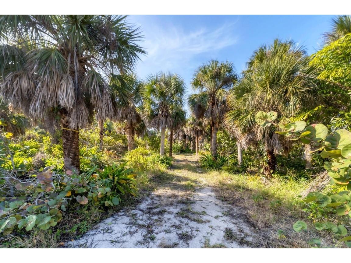 21 Bayshore Circle Placida FL 33946 D6134731 image4