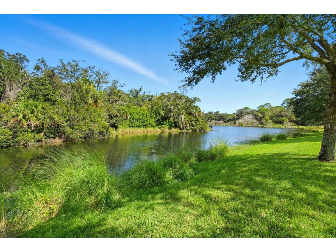 21 Blue Oak Lane Palm Coast FL 32137 FC313330 image37