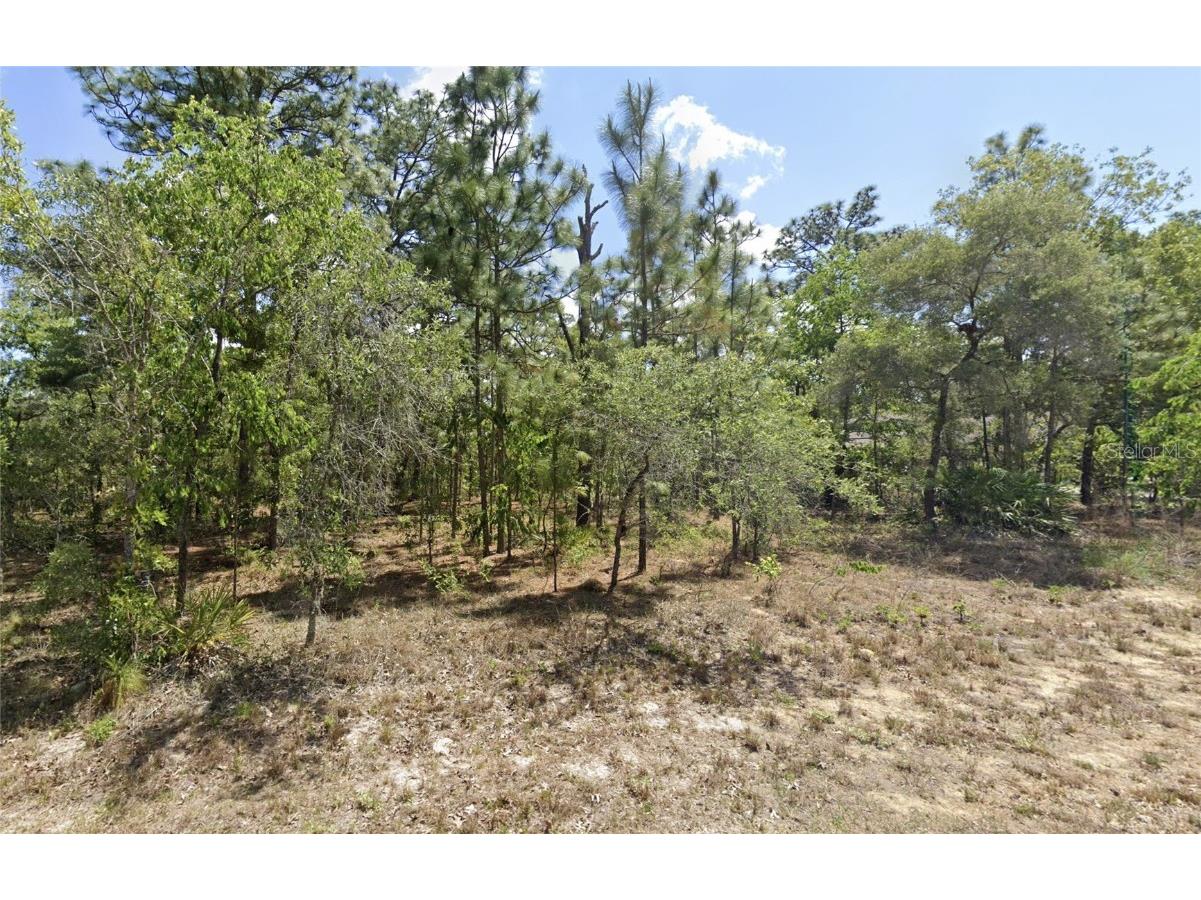 21 Carnation Court Homosassa FL 34446 W7866452 image1