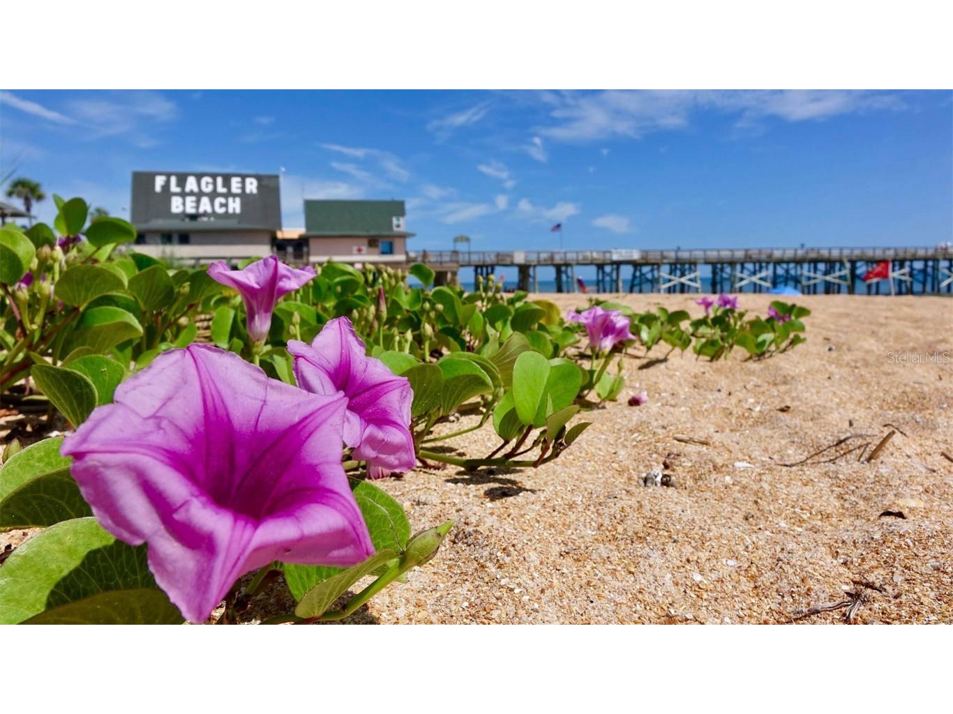 21 Luther Drive Palm Coast FL 32164 FC314607 image31