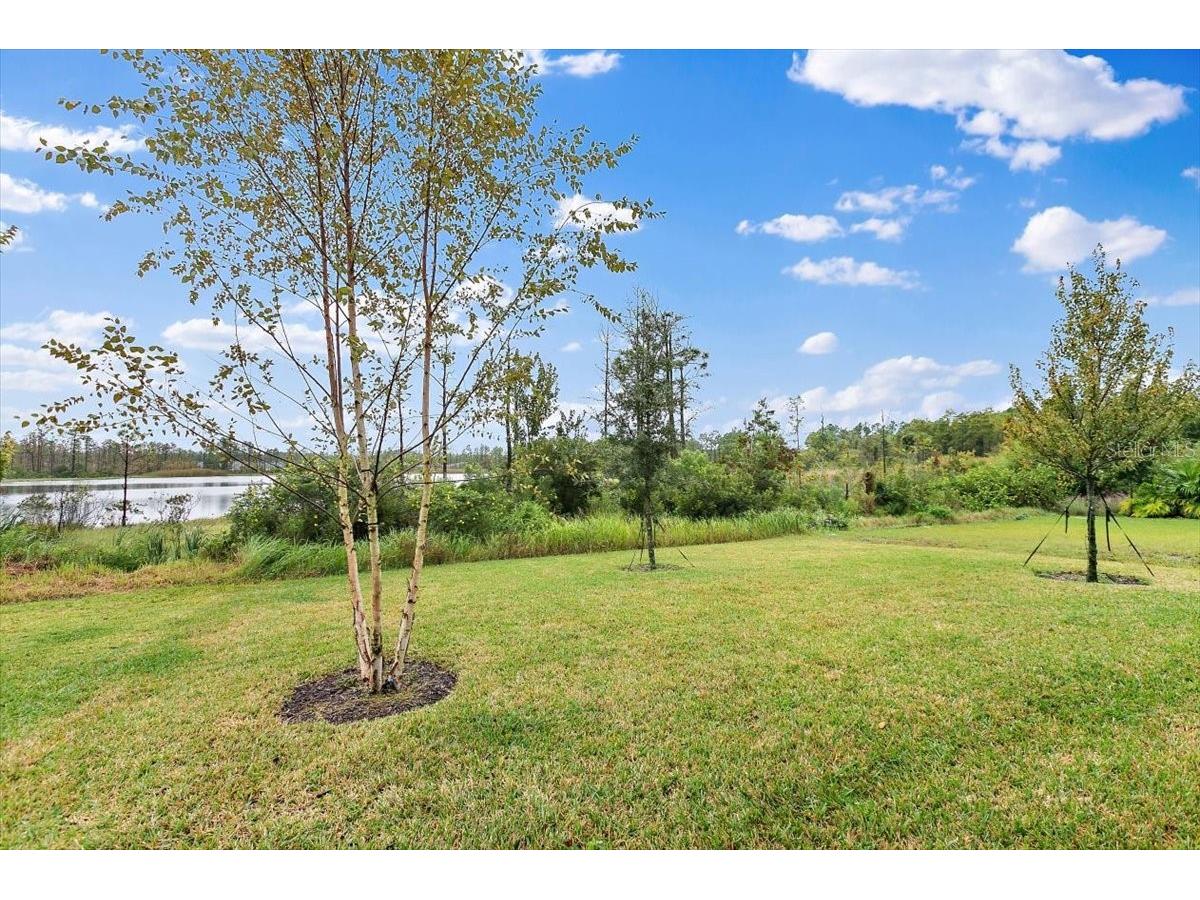 21 Mahogany Way Palm Coast FL 32164 FC315852 image31