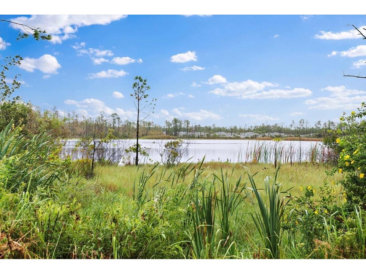 21 Mahogany Way Palm Coast FL 32164 FC315852 image32