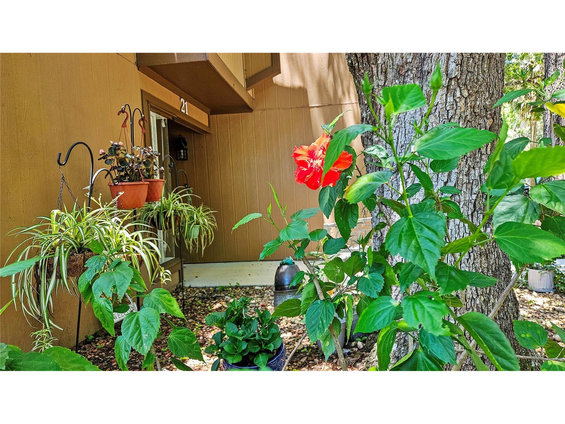 21 Mid Pines Circle Palm Coast FL 32137 FC317977 image37
