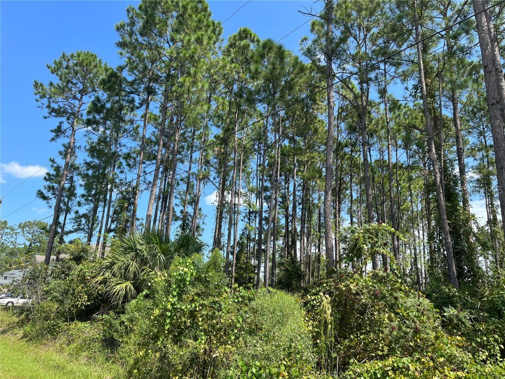 21 Ridley Lane Palm Coast FL 32164 FC294778 image1