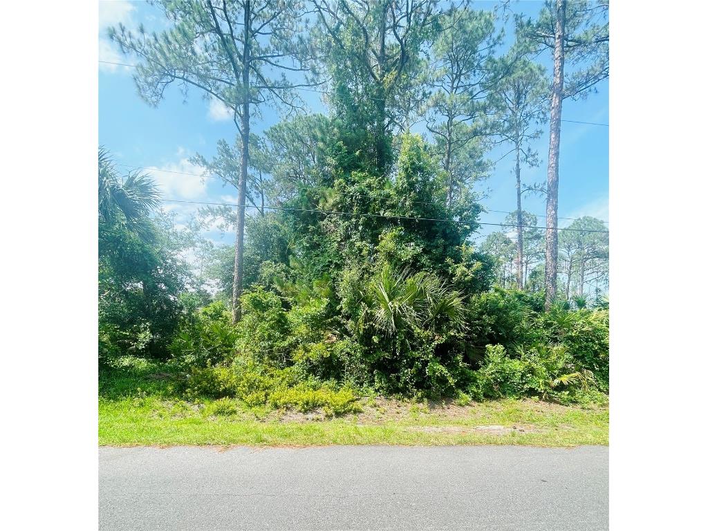 21 Rylin Lane Palm Coast FL 32164 FC294058 image1