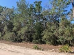 21 SW 157th Lane Dunnellon FL 34432 OM652563 image1