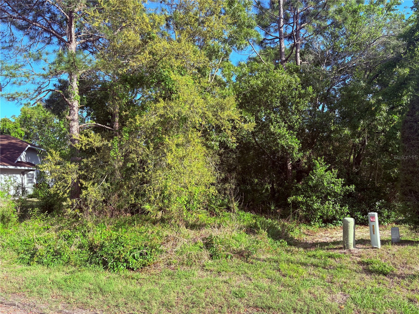 21 Sweetbay Court Homosassa FL 34446 TB8498476 image2