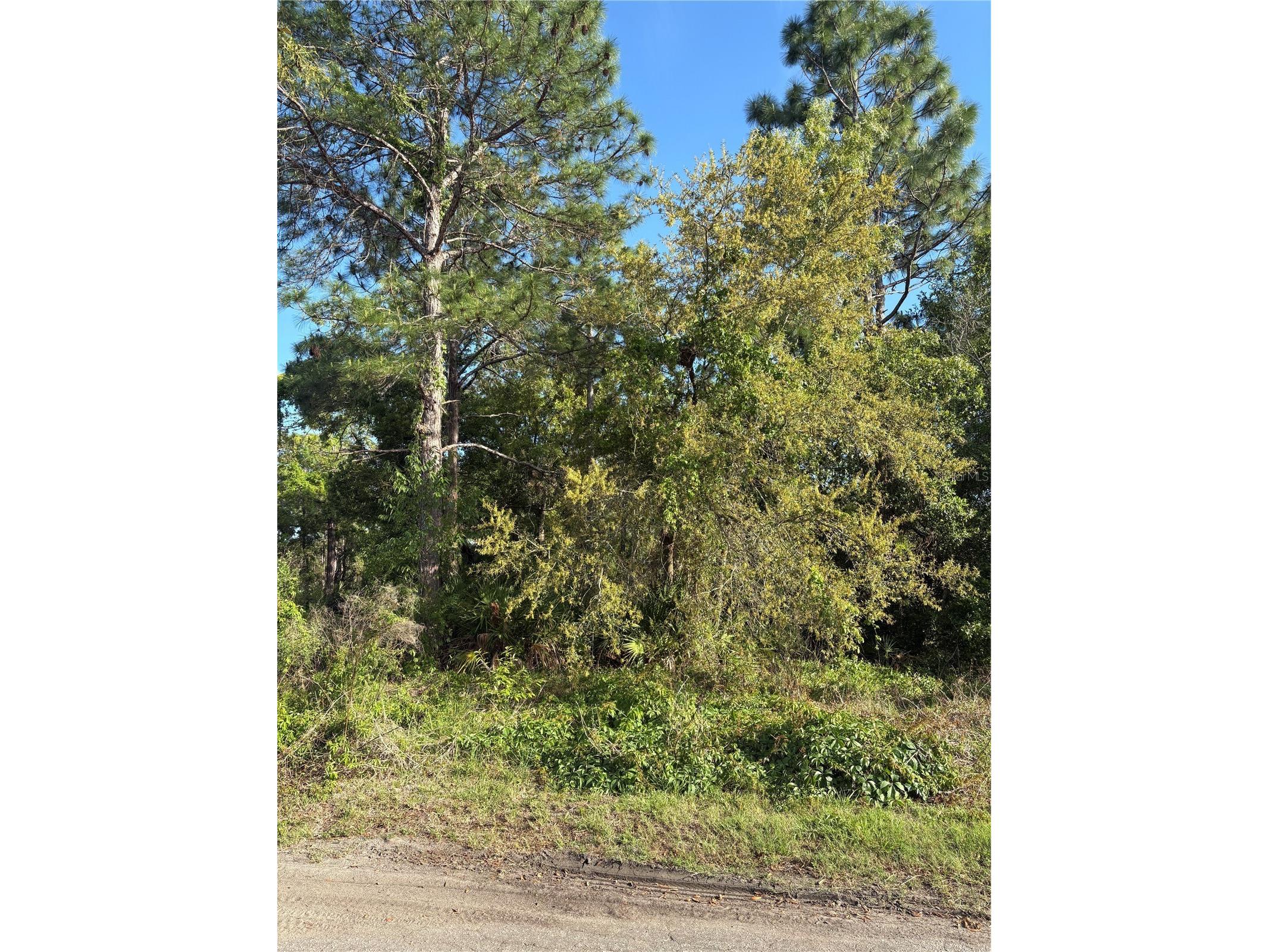 21 Sweetbay Court Homosassa FL 34446 TB8498476 image3