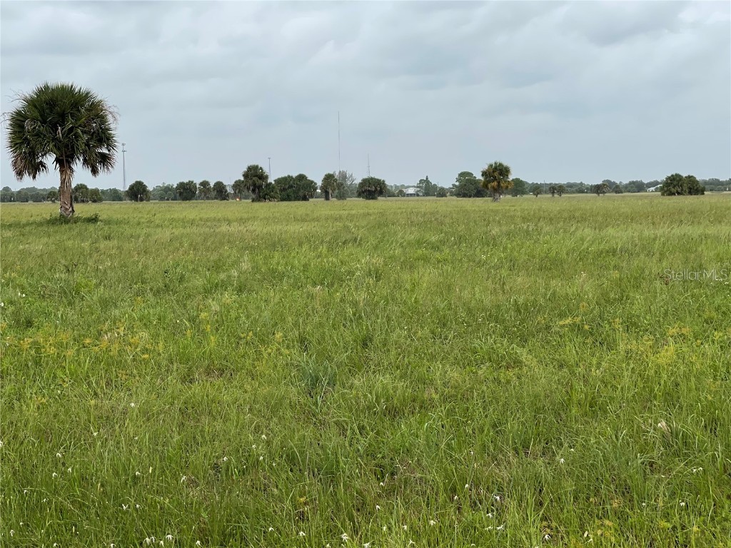 21 Thrasher Drive Placida FL 33946 C7448221 image1