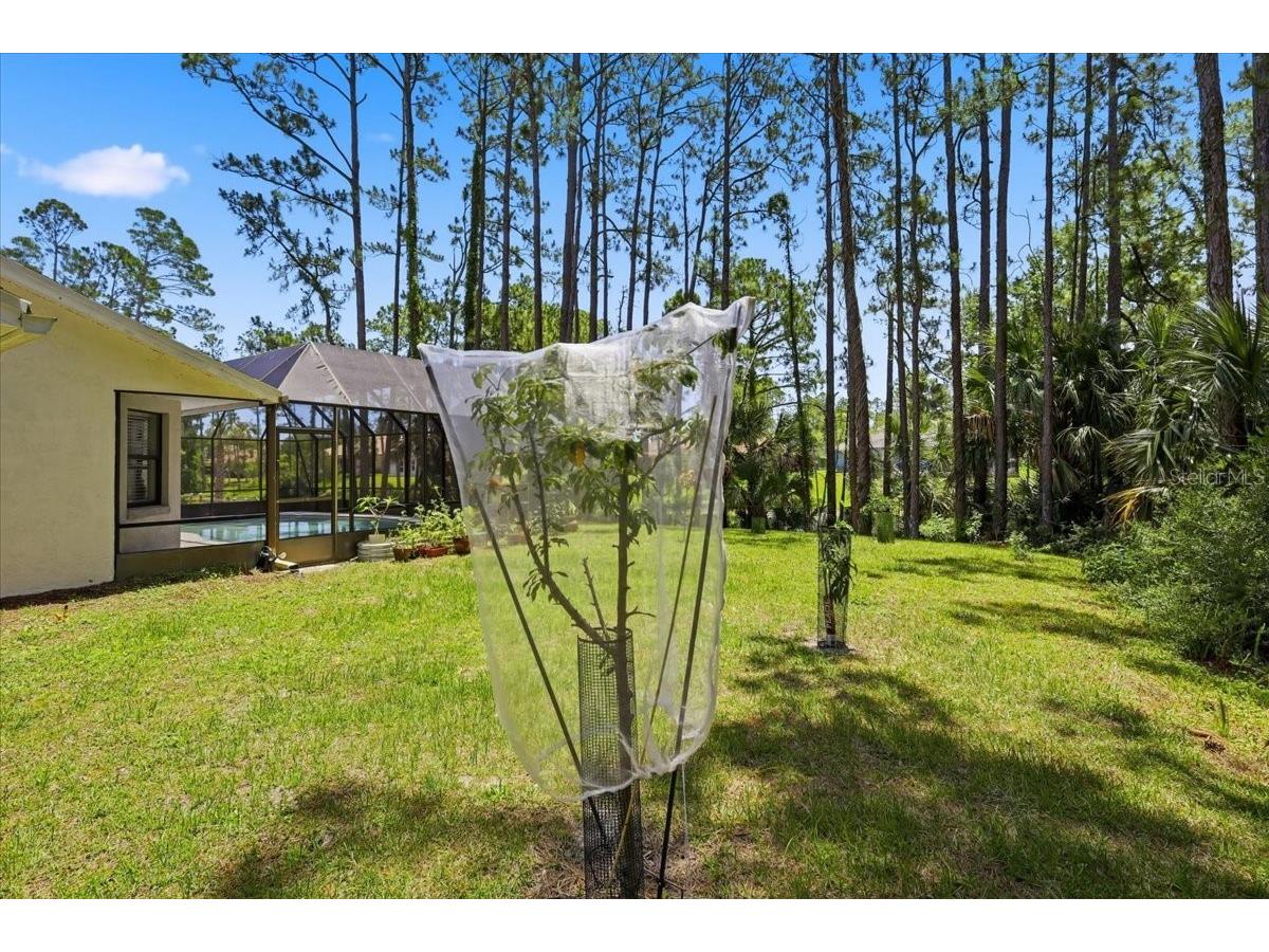 21 Waterford Place Palm Coast FL 32164 FC318680 image61