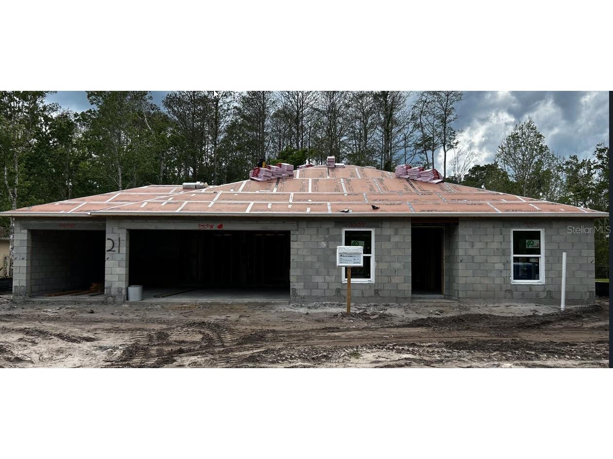 21 Zebulahs Trail Palm Coast FL 32164 T3419506 image1