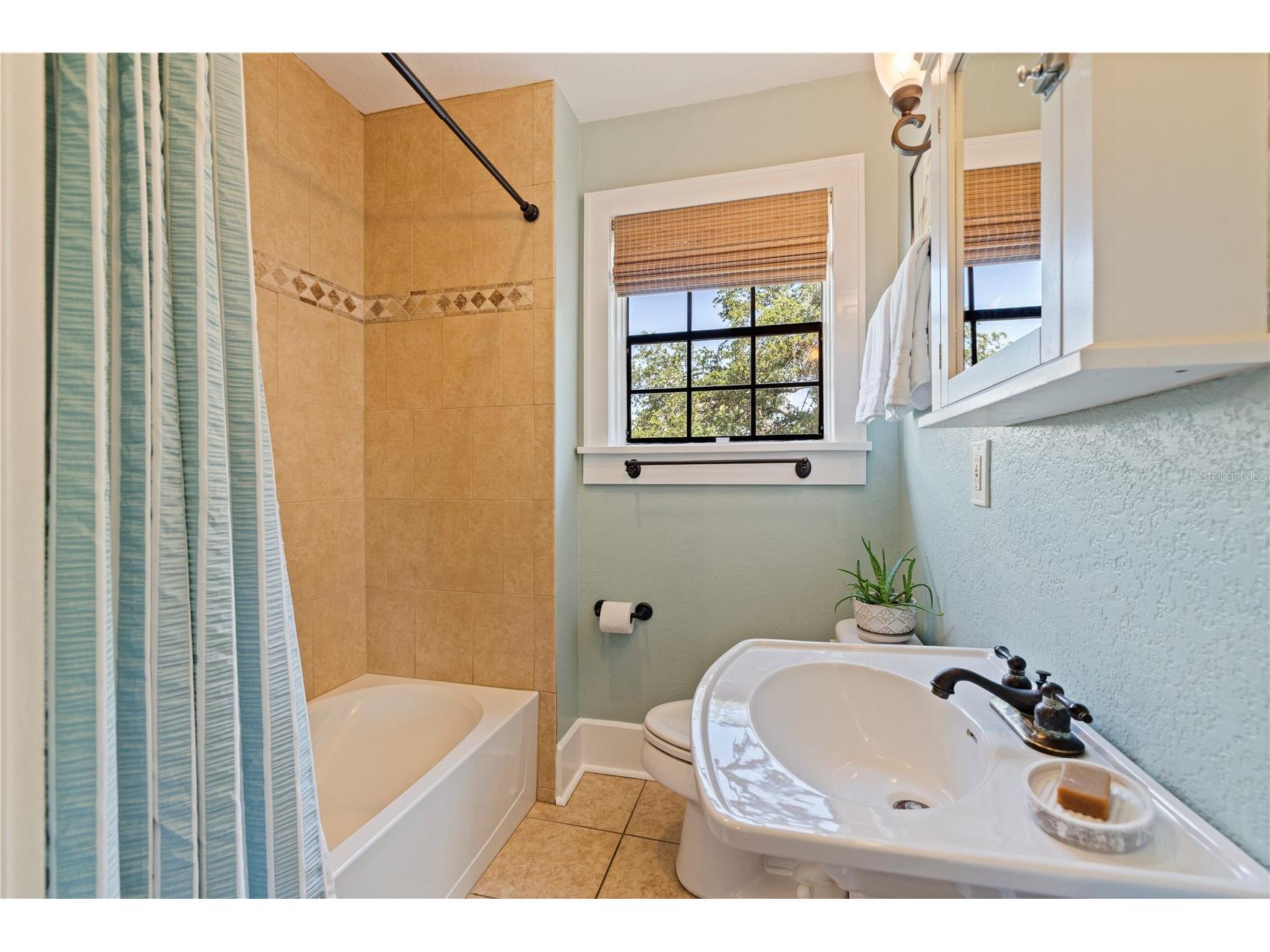 210 22nd Avenue NE #6 Saint Petersburg FL 33704 TB8508843 image21