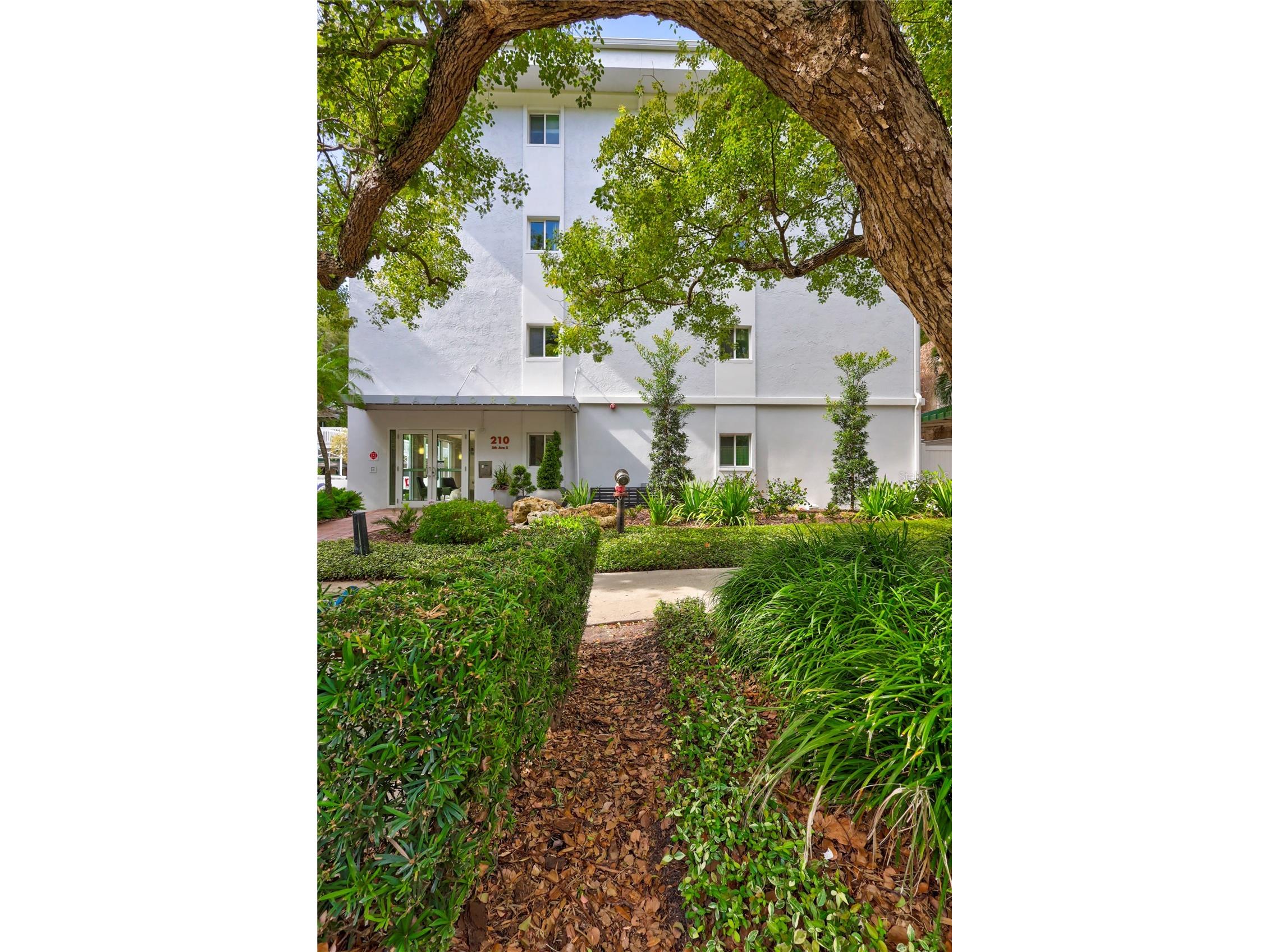 210 5th Avenue S #107 Saint Petersburg FL 33701 TB8508311 image21